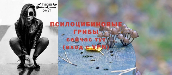 хмурый Козловка