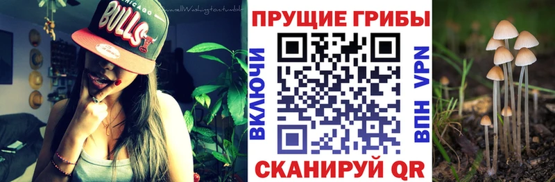 это состав Костомукша Псилоцибиновые грибы Psilocybine cubensis магазин продажи наркотиков